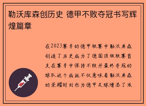 勒沃库森创历史 德甲不败夺冠书写辉煌篇章 勒沃库森创历史 德甲不败夺冠书写辉煌篇章